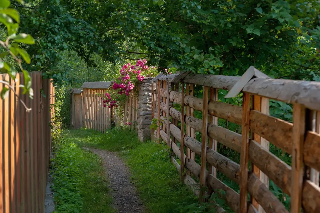 cedar fence