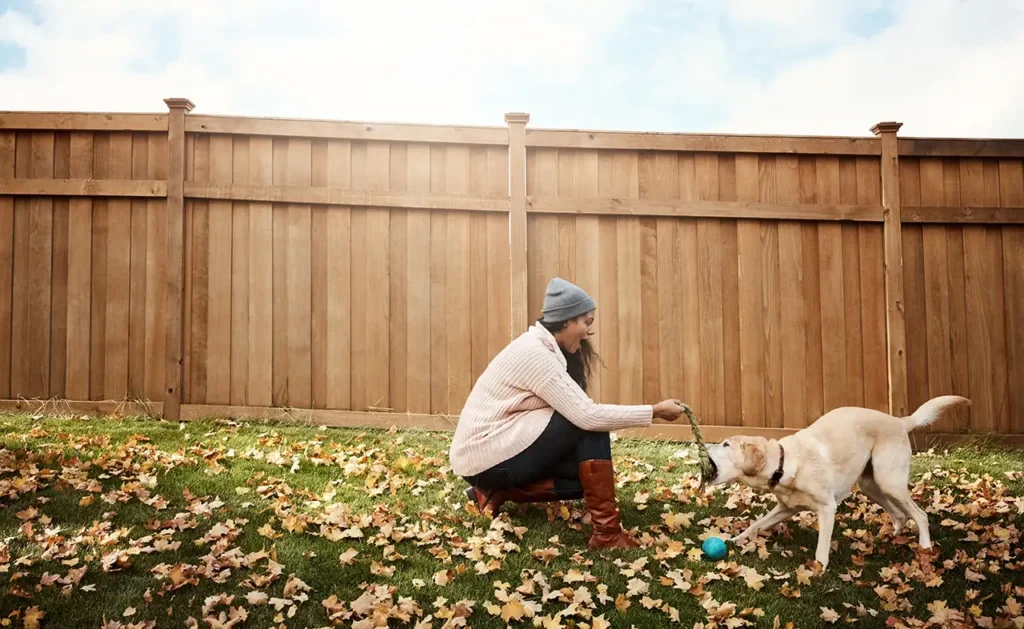cedar fence with man and dog