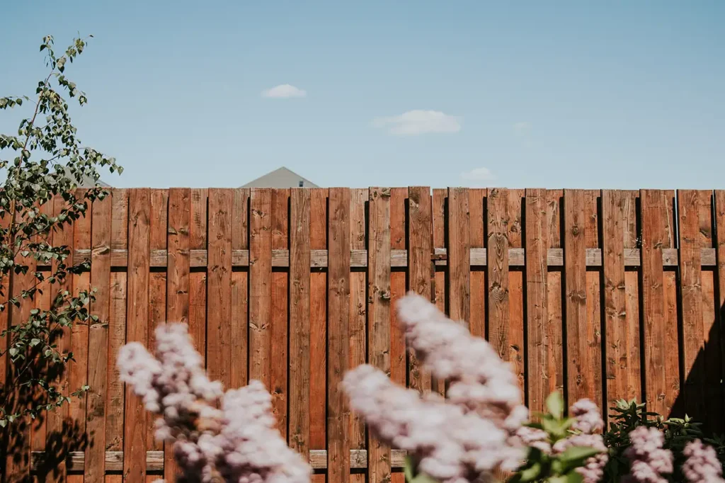 cedar fence