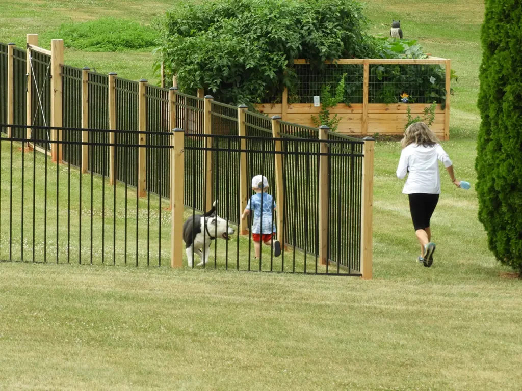 aluminum fence puppy