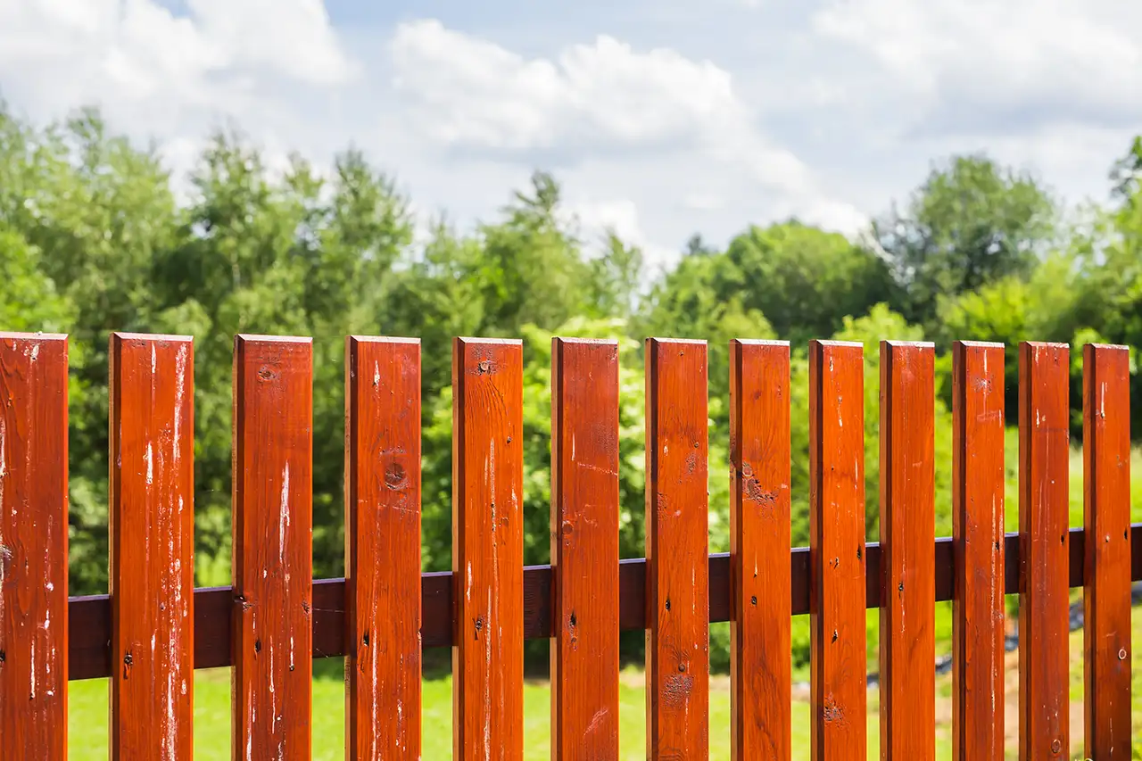 cedar fence