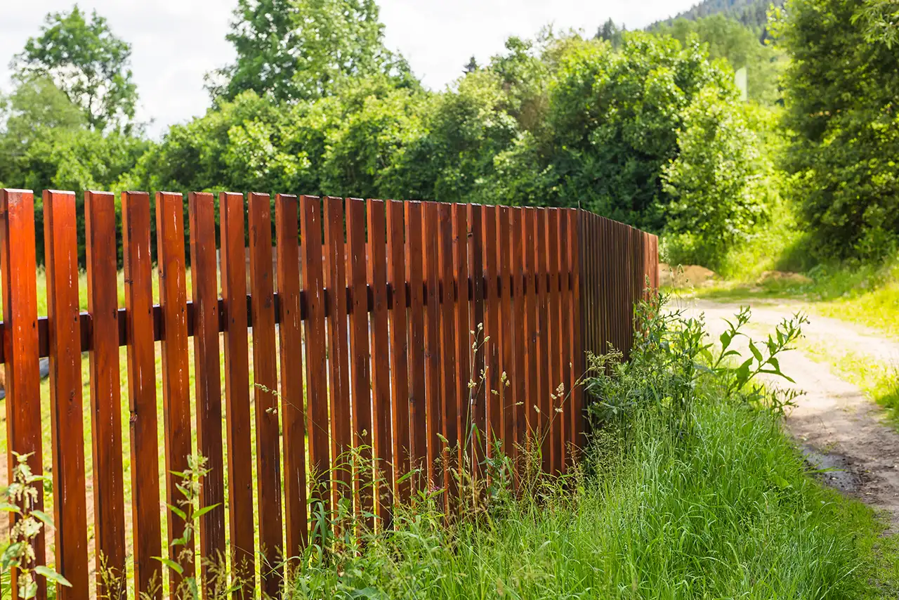 cedar fence