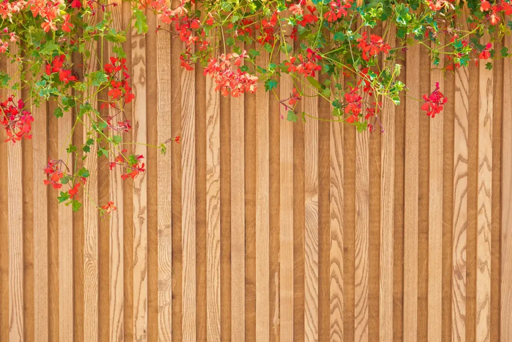 cedar fence