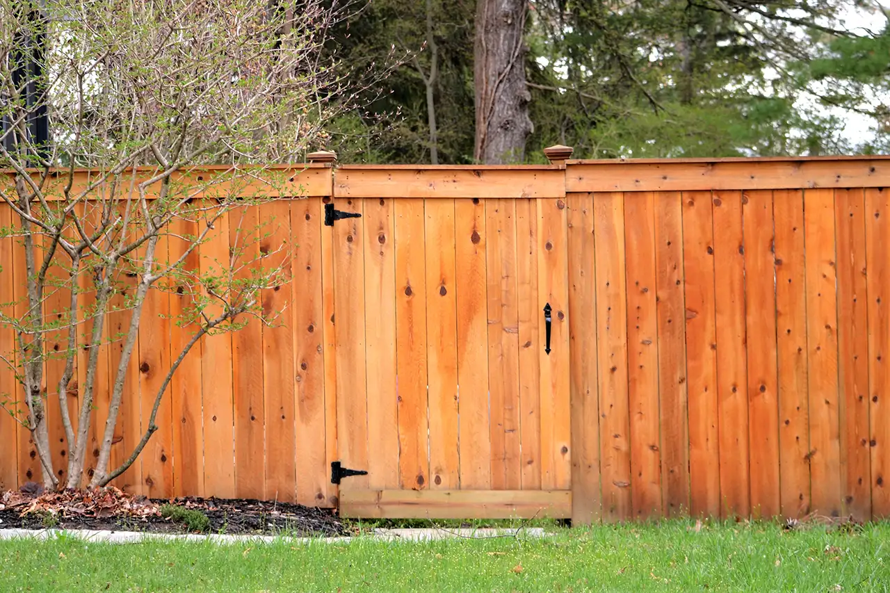 cedar fence with gate